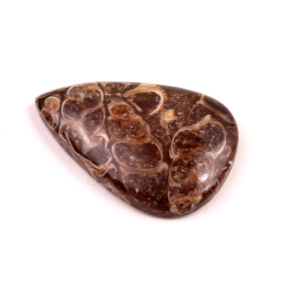 Kabošon Turritella Achát č.6079 (31x21x6mm)