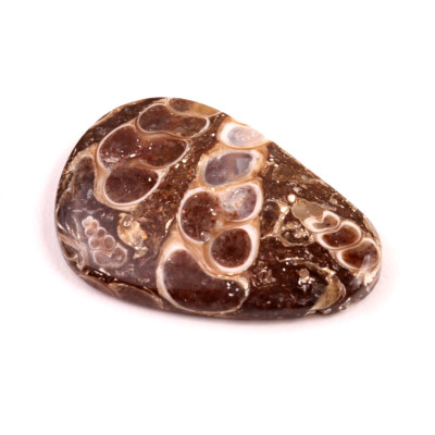 Kabošon Turritella Achát č.6088 (32x22x5mm)