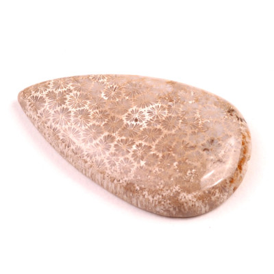 Kabošon Fossil Coral č.2073 (43x26x7mm)