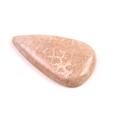 Kabošon Fossil Coral č.2074 (36x21x5mm)