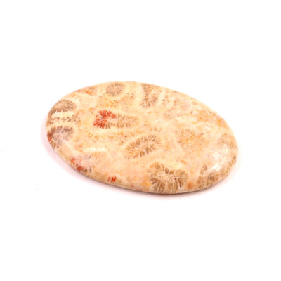 Kabošon Fossil Coral č.2078 (34x22x5mm)