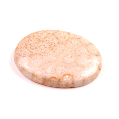 Kabošon Fossil Coral č.2081 (36x26x7mm)