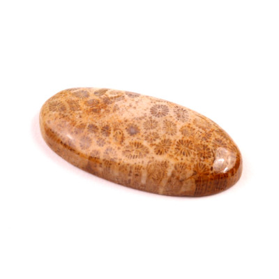 Kabošon Fossil Coral č.5420 (37x18x6mm)