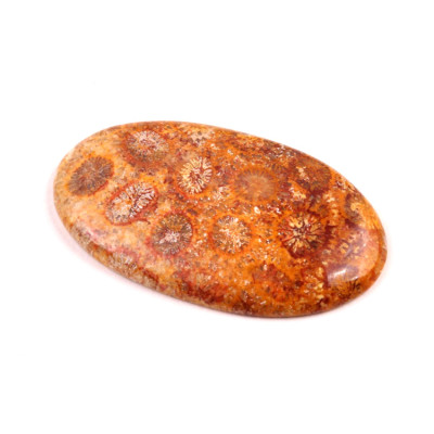 Kabošon Fossil Coral č.5427 (38x23x5mm)