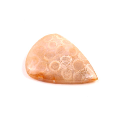 Kabošon Fossil Coral č.5429 (30x23x5mm)