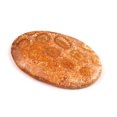 Kabošon Fossil Coral č.5436 (39x25x5mm)