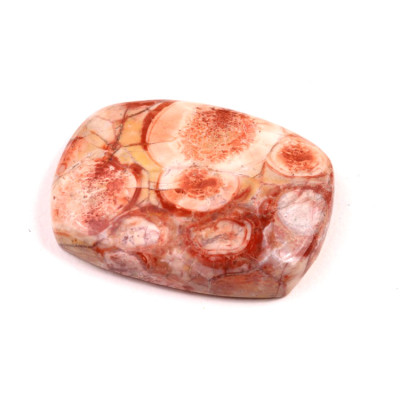 Kabošon Birds Eye Jasper č.2145 (33x25x7mm)