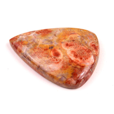 Kabošon Birds Eye Jasper č.2146 (39x29x6mm)