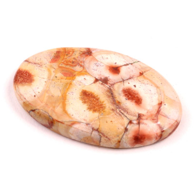 Kabošon Birds Eye Jasper č.2149 (42x26x7mm)