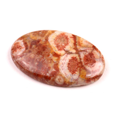 Kabošon Birds Eye Jasper č.2155 (39x25x7mm)