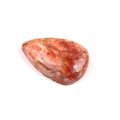 Kabošon Birds Eye Jasper č.2157 (29x19x7mm)