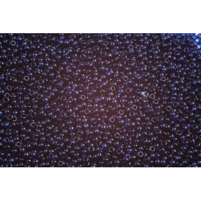 Preciosa rokajl 10/0 č.714 (50g)